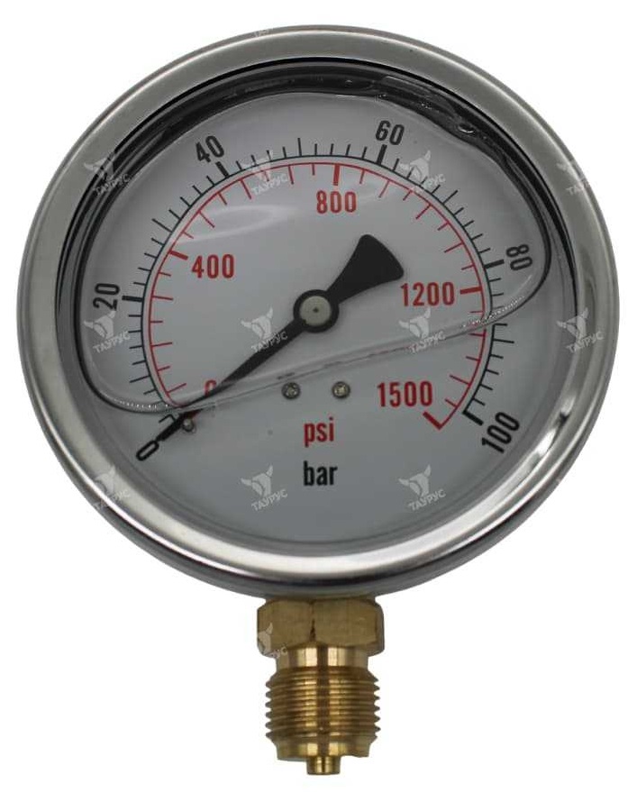 Манометр виброустойчивый глицериновый PG-100