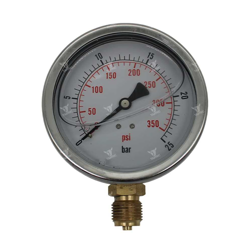 PG-100-B-025-G - Манометр вибростойкий, 0-25 бар, радиальный