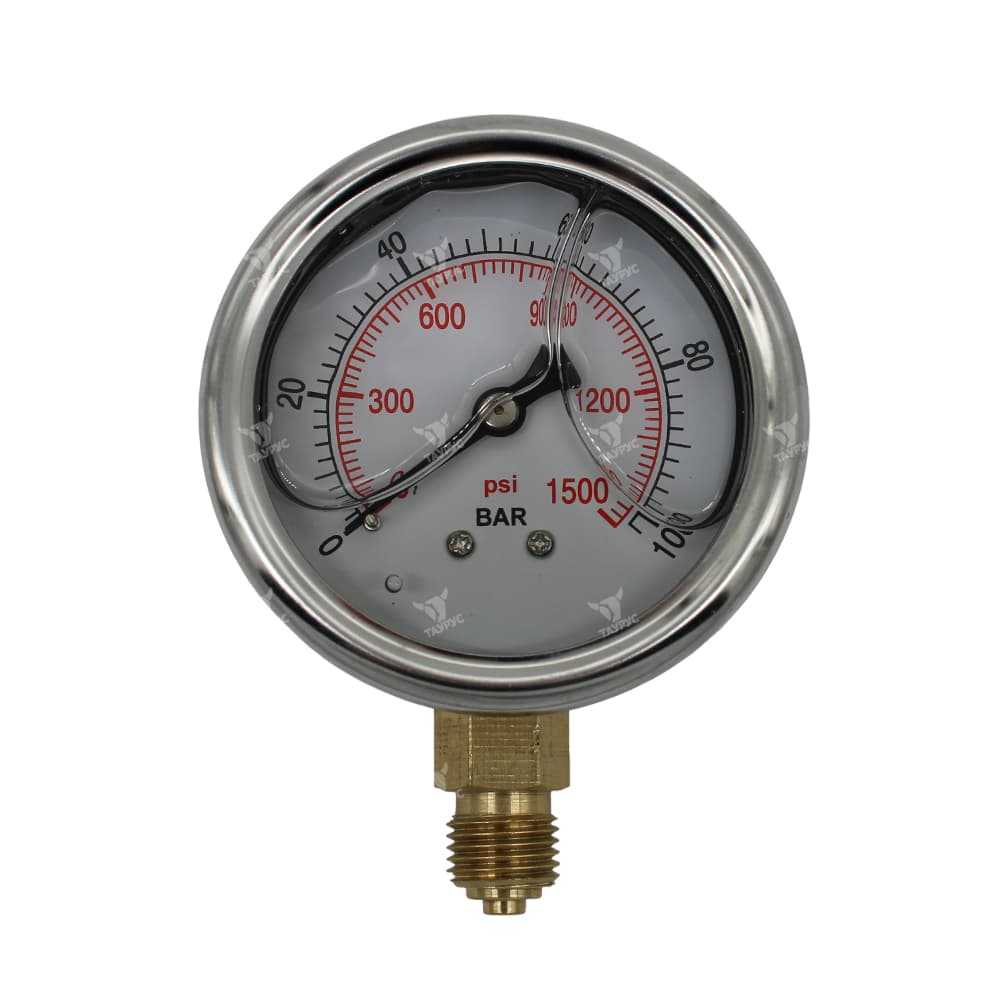 PG-63-B-100-G - Манометр 0-100 бар, радиальный