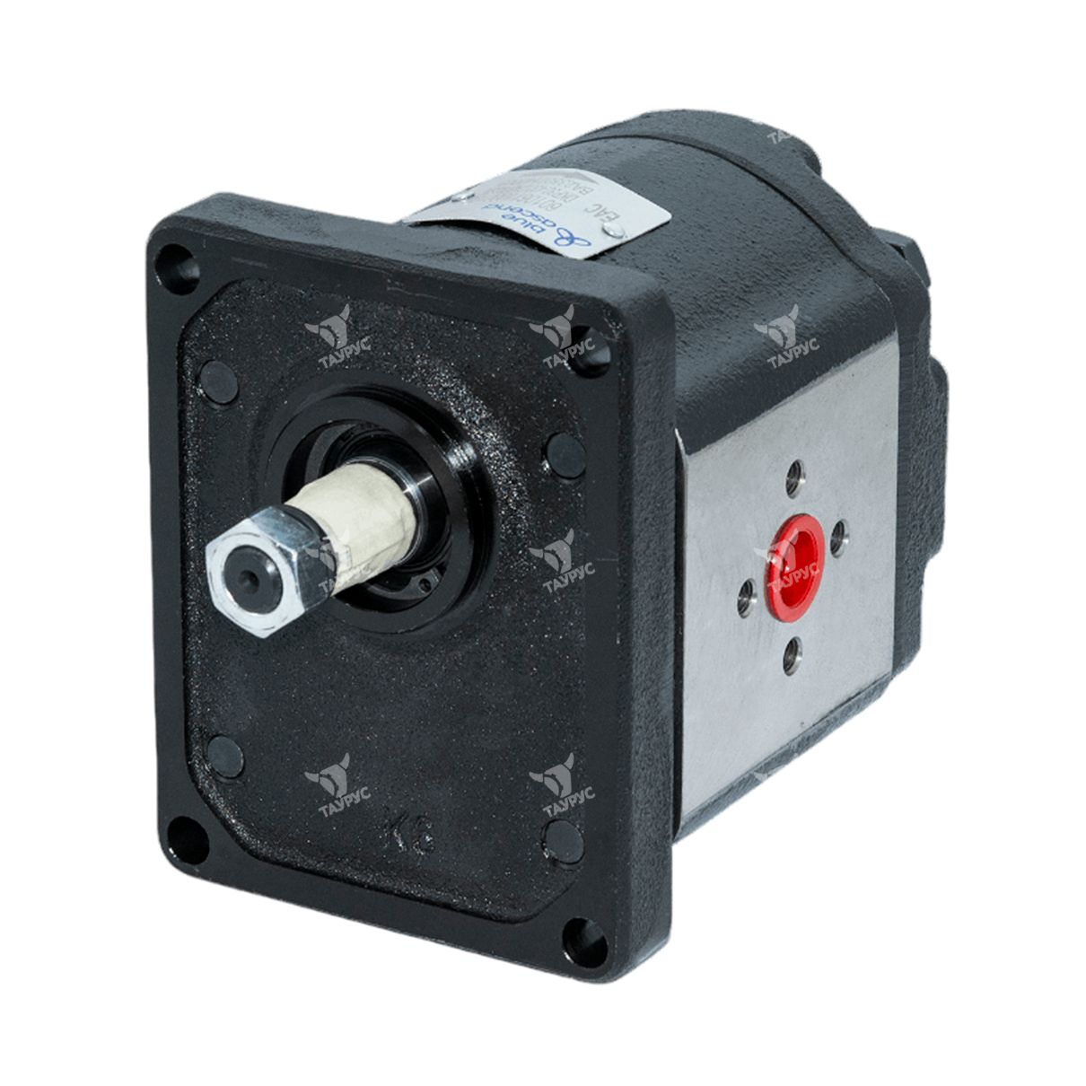 AP30.380.CAB702SN - Насос гидравлический шестеренный с внешним зацеплением