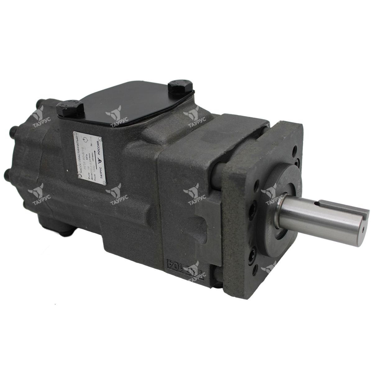 НПл 80-8 16 - Насос пластинчатый (1)