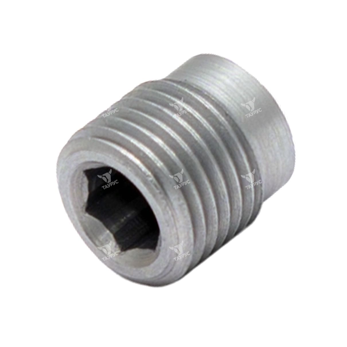 A73.087010 - Заглушка М10х1 сталь (для секций DPX, DPA)