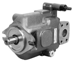 mow8kwmd7b5g5o7k7502ycz38zalzq19