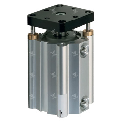 QPR2A050A025 - Пневмоцилиндр