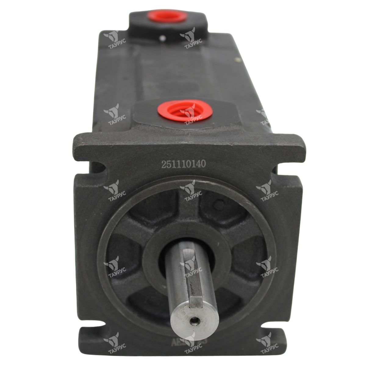 НПл 25-25 16 - Насос пластинчатый (2)