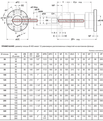 Гидроцилиндры HC3B* (задний фланец)