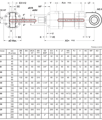 Гидроцилиндры HC3F* (проушина шарнирная)